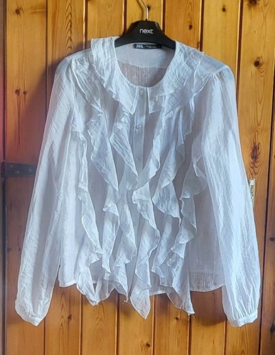 Zara semi sheer ruffled blouse - zara,